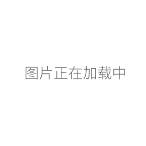 上海雷磁PHSJ-4A型pH計 酸度計ph值測試儀（停產(chǎn)）